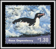 Adélie Penguin