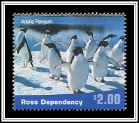 Adélie Penguin