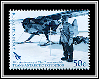 Beaver Propeller Plane