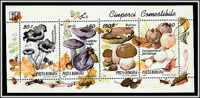 Edible Mushrooms