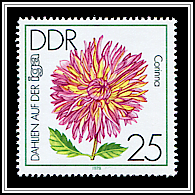 Deer Antler Dahlia 