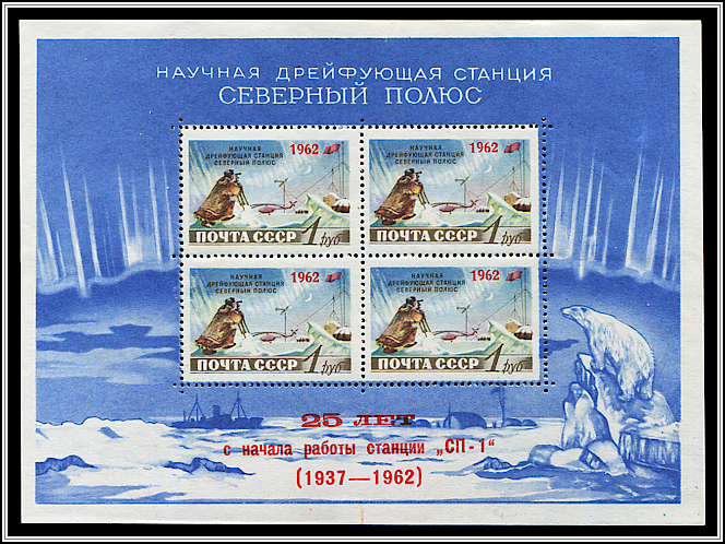Polar Researcher
