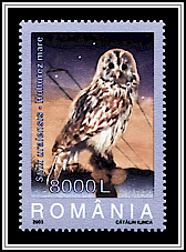 Ural Owl