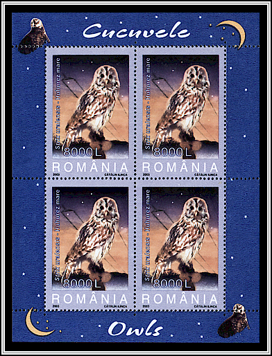 Ural Owl
