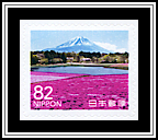 Moss Phlox, Mt Fuji