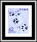 Paw Prints