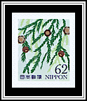 Thuja
