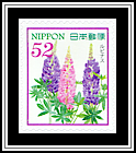Lupin