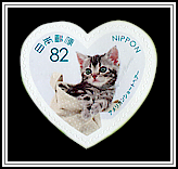 American Shorthair