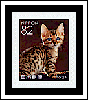 Bengal