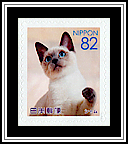 Siamese