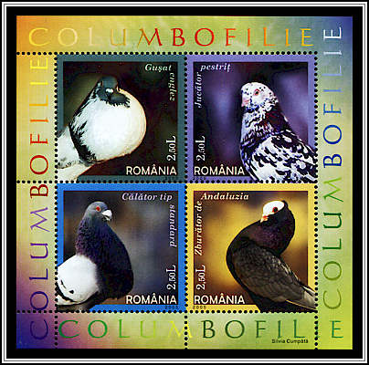 Miniature Sheet Type VI