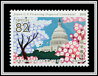 Dogwoods & US Capitol