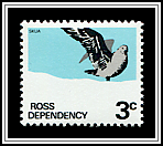 Great Skua