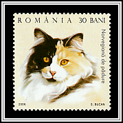 Norwegian Forest