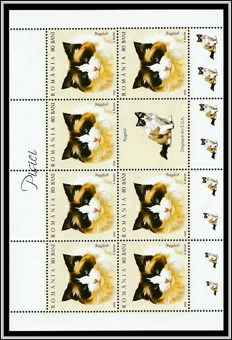 Ragdoll (MS Type I)