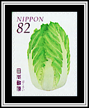 Chinese Cabbage