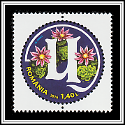 Common Houseleek