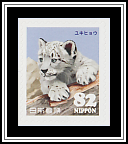 Snow Leopard