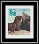 California Sea Lion