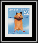 Kinka Hamster