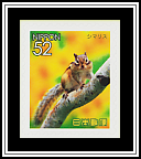 Chipmunk