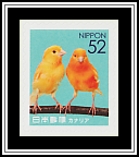 Canaries