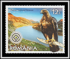 Retezat National Park, Golden Eagle