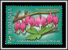 Bleeding Heart (Dicentra spectabilis)
