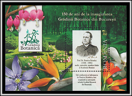 Dimitrie Brândză