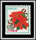 Poinsettia