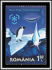 Penguin, Tear Drop