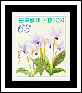 Asian Fawnlily
