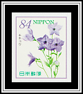 Chinese Bellflower