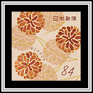 Pine Cones