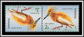 Tête-bêche Pair Type II