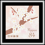 Cherry Blossoms