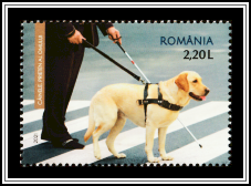 Man's Best Friend
