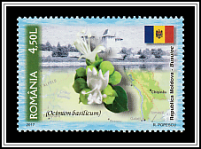 Moldova - Basil (Ocimum basilicum)