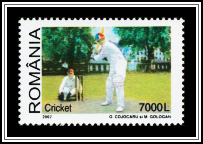 Cricket