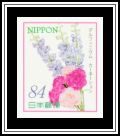 Delphiniums Carnations