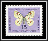 Small Apollo (Parnassius phoebus) 