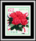 Rose (Rosa sp.)