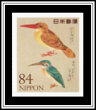 Ruddy and Common Kingfishers