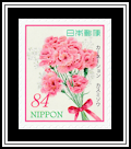 Carnation and Baby's-Breath