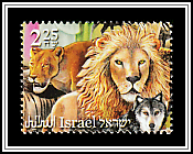 Lions, Wolf