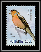 Chaffinch (Fringilla coelebs)