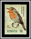 European Robin (Erithacus rubecula)