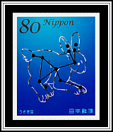 Lepus