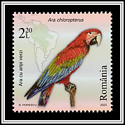 Green-Winged Macaw (Ara chloropterus)